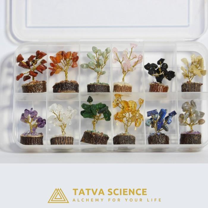 Small Tree Crystal Box0